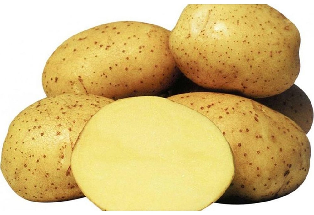 Картофель нового урожая белый